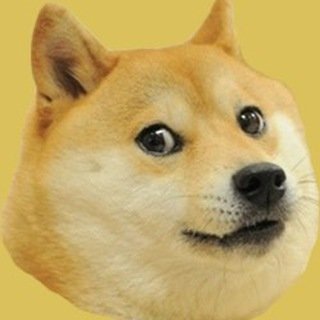 Dogefy chat bot