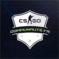 Counter-Strike:Global Offensive FR chat bot