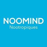 Noomind chat bot