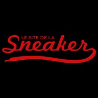 Le Site de la Sneaker chat bot