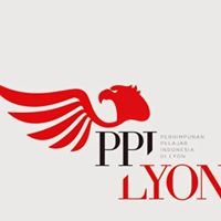 PPI Lyon chat bot