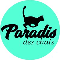 Le paradis des chats chat bot