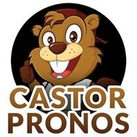 Castor Pronos chat bot
