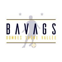 Dombes Saône Vallée Bavags Futsal CC chat bot