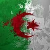 الجزائر ツ Algériens ஐ chat bot