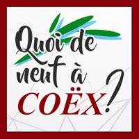 Quoi de neuf à Coëx chat bot