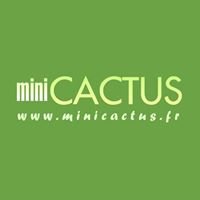 MiniCACTUS.fr, la mini plante porte clé chat bot