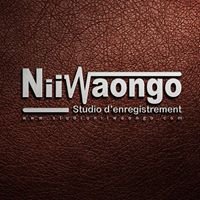 Studio NiiWaongo chat bot
