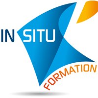 in situ Formation chat bot