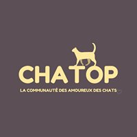 Chatop chat bot