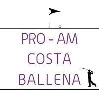 Pro-Am Costa Ballena chat bot