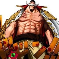 ONE PIECE France chat bot